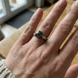 Anillo- Perlas Cultivadas- Diámetro 8-9 mm Tahití Negro- Oro Blanco- Diamantes