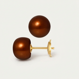 Pendientes - Perlas Cultivadas de Agua Dulce - Diámetro Botón 9-10 mm Chocolate - Joyería Mujer - Oro Amarillo