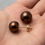 Pendientes - Perlas Cultivadas de Agua Dulce - Diámetro Botón 9-10 mm Chocolate - Joyería Mujer - Oro Amarillo