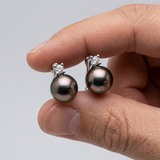 Pendientes -Perlas de Tahití- Ovalado Diámetro 8-9 mm- Plata