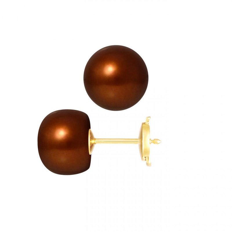 Pendientes - Perlas Cultivadas de Agua Dulce - Diámetro Botón 9-10 mm Chocolate - Joyería Mujer - Oro Amarillo