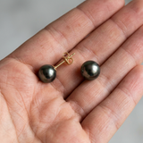 Pendientes de oro y perlas de Tahití | amy