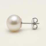 Pendientes de Oro Blanco - Perla Cultivada Blanca 9-10 mm