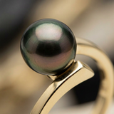 Anillo- Perlas de Tahití- Redondo Diámetro 8-9 mm- Oro amarillo