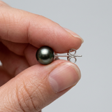 Pendientes de Plata con Perlas Cultivadas de Tahití - Diámetro 8-9 mm 