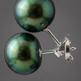 Pendientes Botón de Perlas Cultivadas de Agua Dulce Diámetro 9-10 mm Oro Blanco Verde