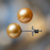 Pendientes Botón de Perlas Cultivadas de Agua Dulce Diámetro 9-10 mm Oro Oro Blanco
