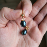 Pendientes - Perlas cultivadas de agua dulce - Diámetro 7-8 mm Tahit negro - Oro amarillo
