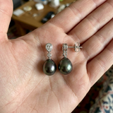 Pendientes - Perlas de Tahití - Pera 8-9 mm - Plata de Ley 925