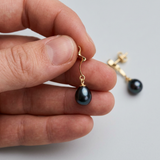 Pendientes - Perlas Cultivadas 8-9 mm Tahití Negras - Oro Amarillo
