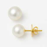 Pendientes - Perlas Cultivadas de Agua Dulce - Diámetro Botón 9-10 mm Blanco - Joyería Mujer - Oro Amarillo