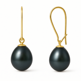 Pendientes - Perlas Cultivadas de Agua Dulce - Pera Diámetro 9-10 mm Tahití Negro - Oro Amarillo